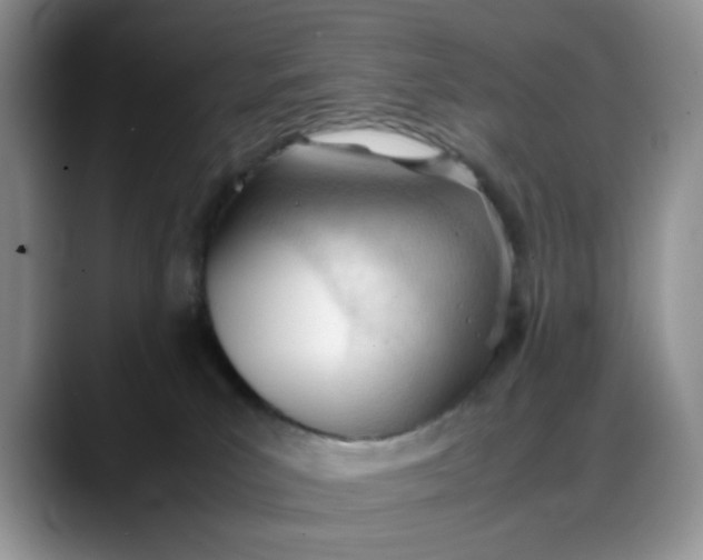 X0000088170039200705291941