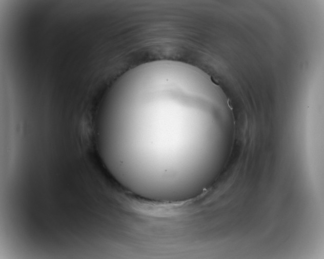 X0000088170040200705291940