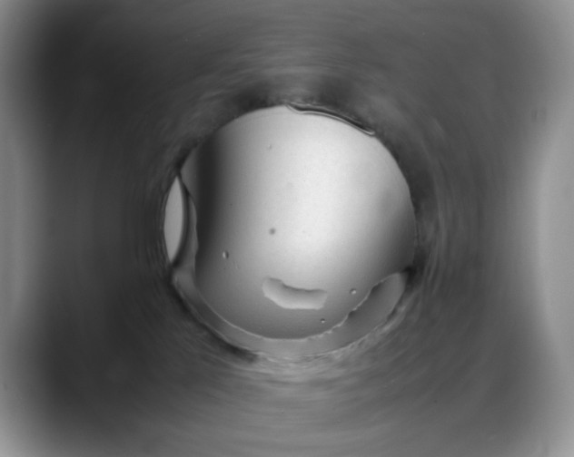 X0000088170041200705291940