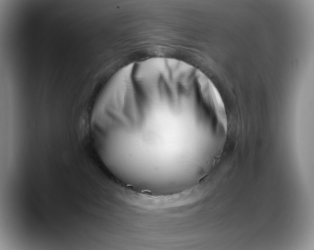 X0000088170043200705291940