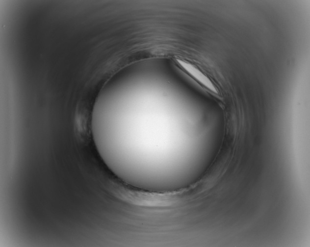 X0000088170044200705291940