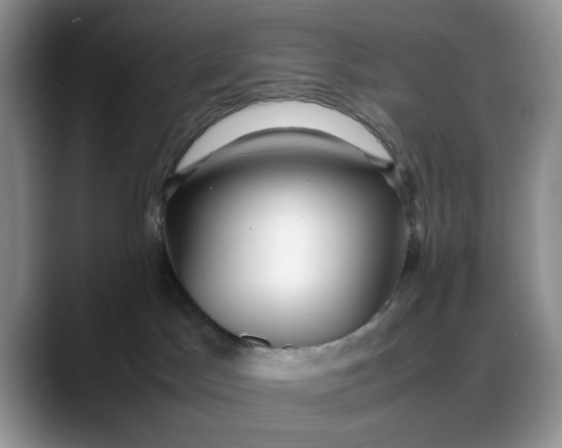 X0000088170045200705291940