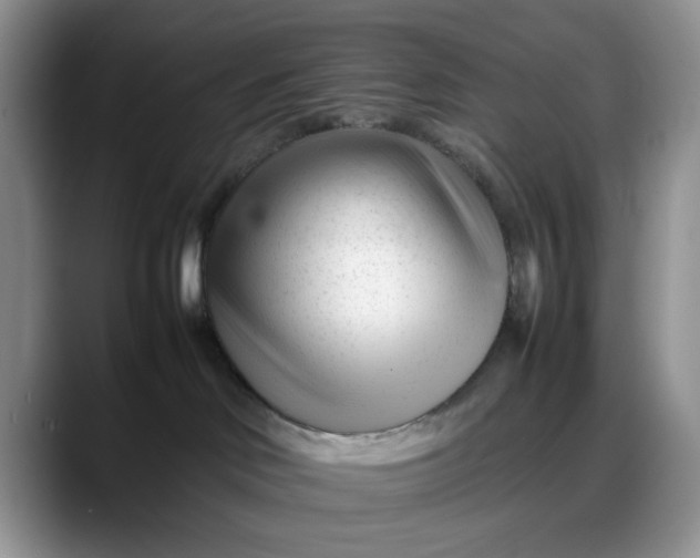 X0000088170046200705291940