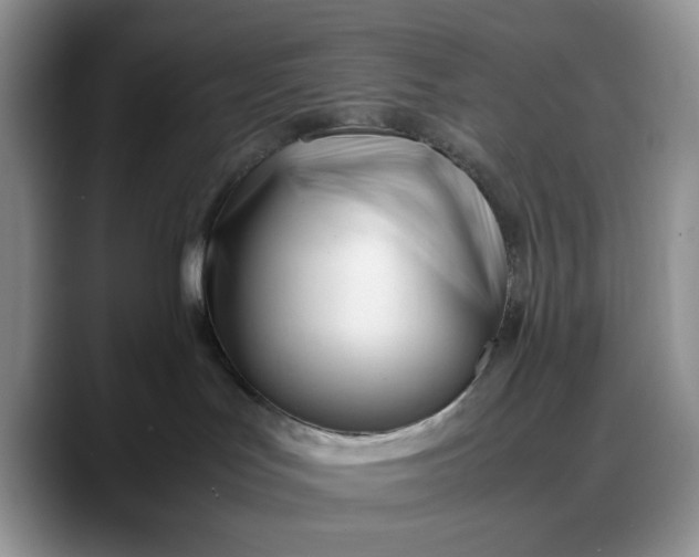 X0000088170047200705291940