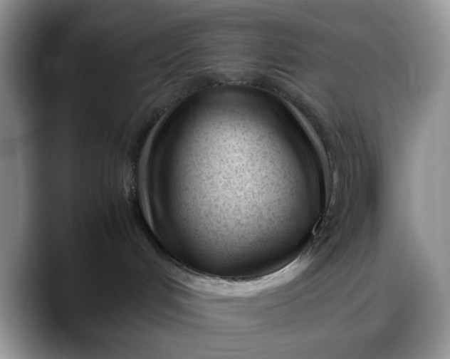 X0000088170048200705291940