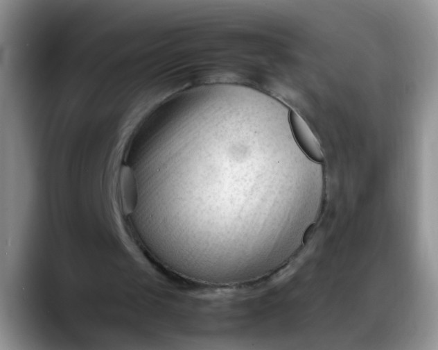 X0000088170049200705291940