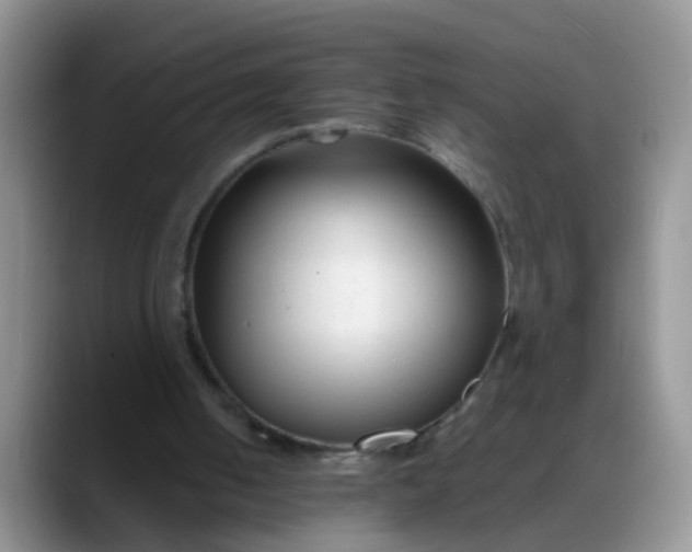 X0000088170050200705291940