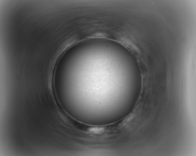 X0000088170051200705291940