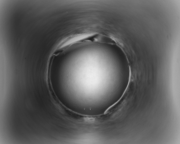 X0000088170052200705291940