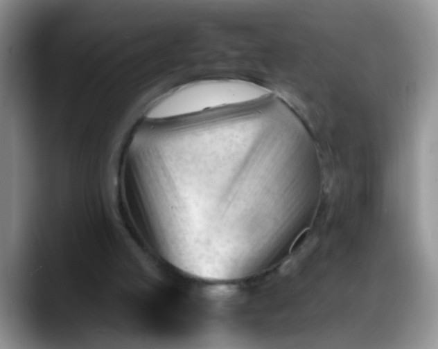 X0000088170053200705291940