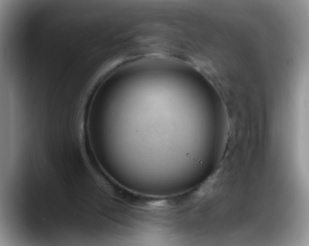 X0000088170054200705291940