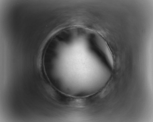 X0000088170056200705291940