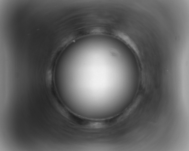 X0000088170057200705291940