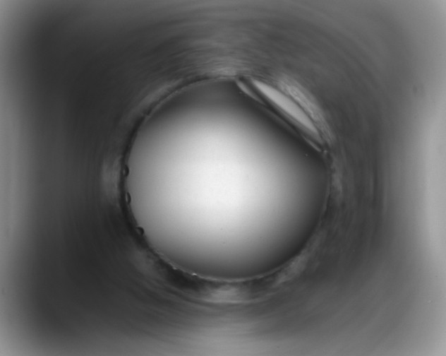 X0000088170058200705291940