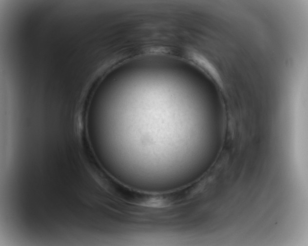 X0000088170059200705291940