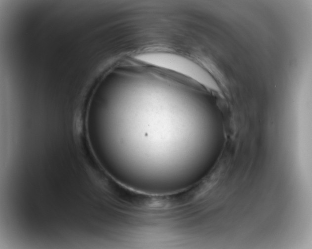 X0000088170060200705291940