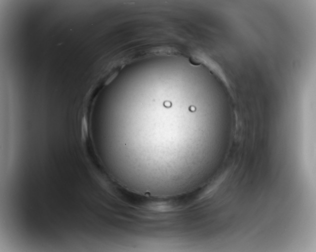 X0000088170061200705291940