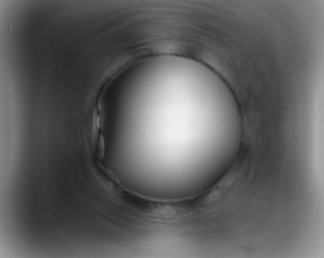 X0000088170062200705291940