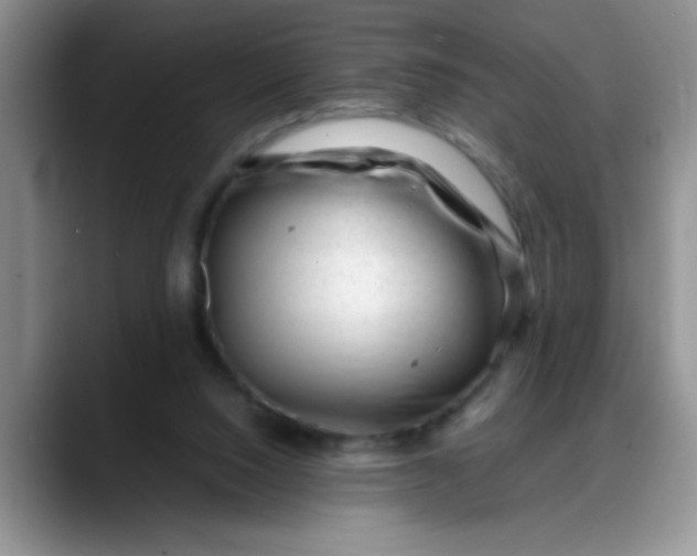 X0000088170064200705291940