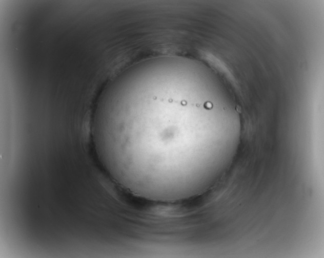 X0000088170065200705291940