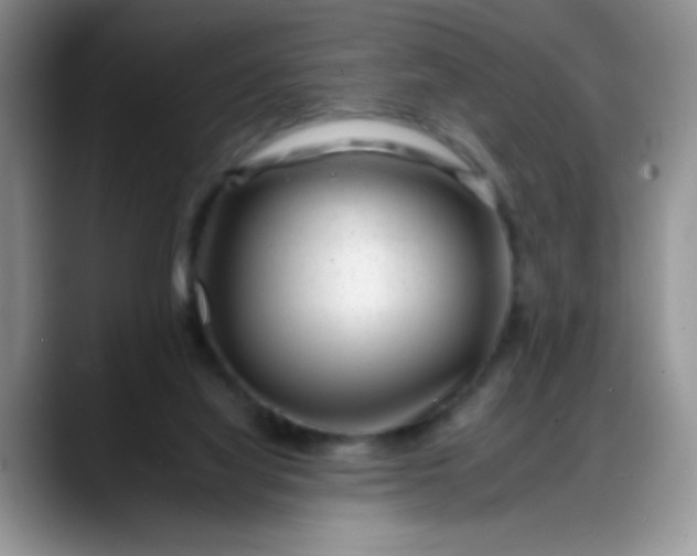 X0000088170068200705291940