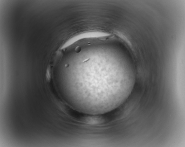 X0000088170069200705291940