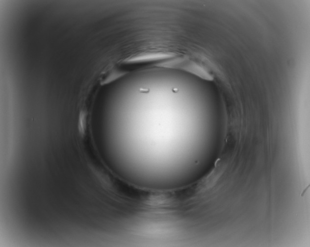 X0000088170070200705291940