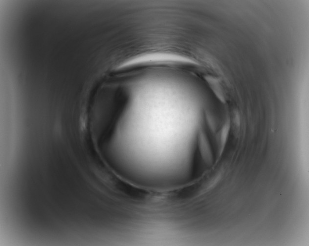 X0000088170072200705291940