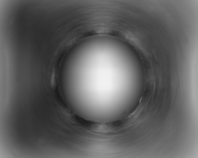 X0000088170074200705291940