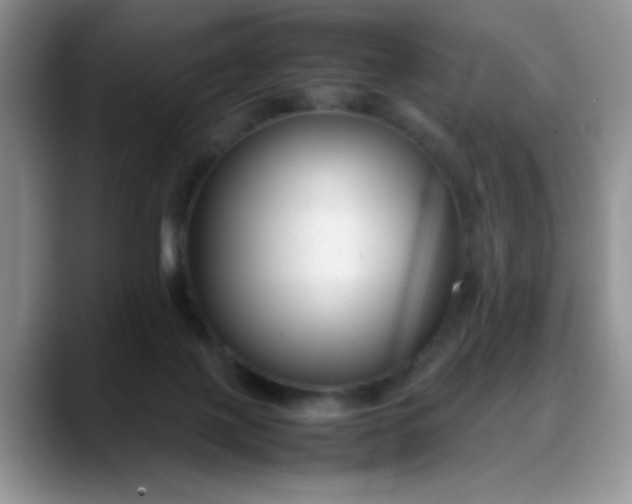 X0000088170075200705291940