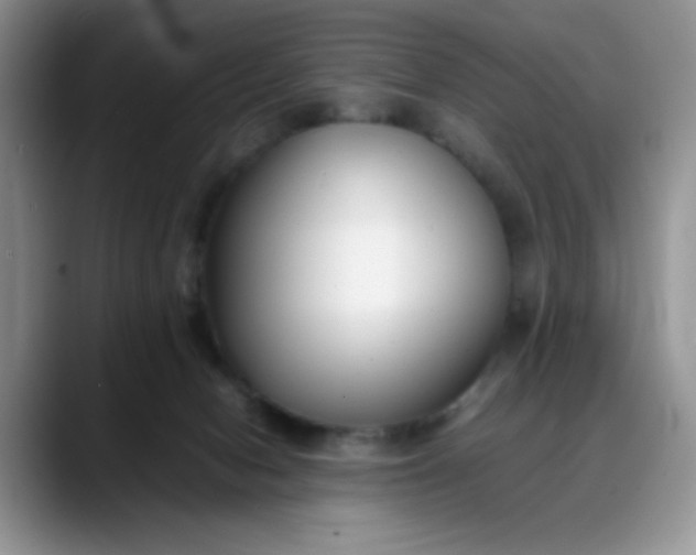 X0000088170078200705291940