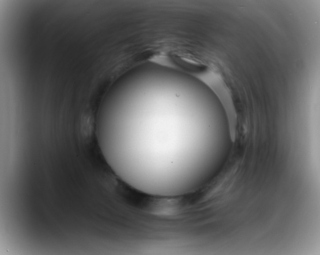 X0000088170081200705291940