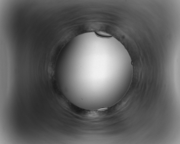 X0000088170091200705291940