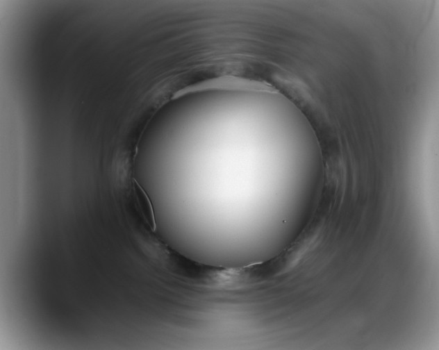 X0000088170092200705291940