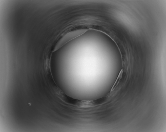 X0000088170093200705291940