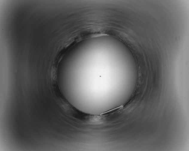 X0000088170096200705291940