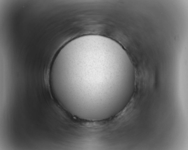 X0000088170100200705291940