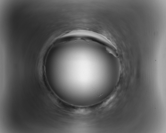 X0000088170101200705291940