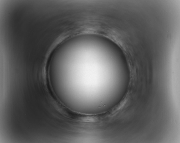 X0000088170102200705291940