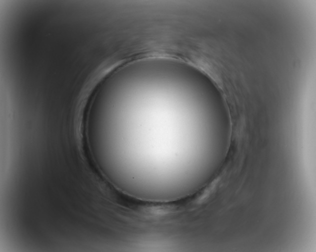 X0000088170103200705291940