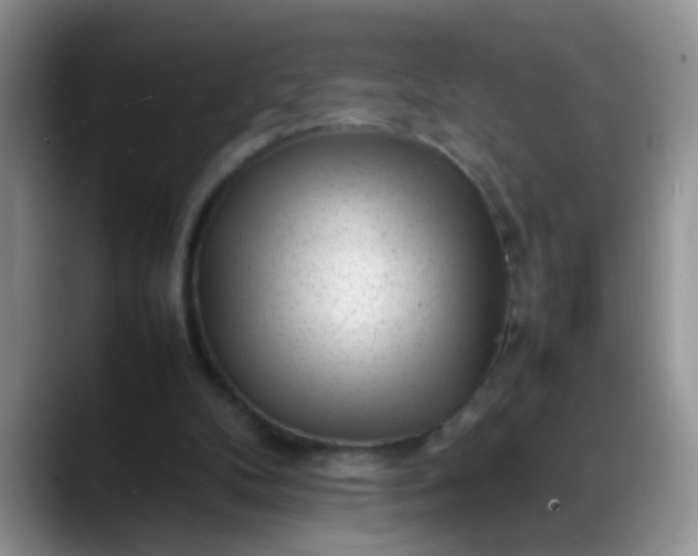 X0000088170104200705291940