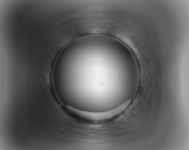 X0000088170105200705291940