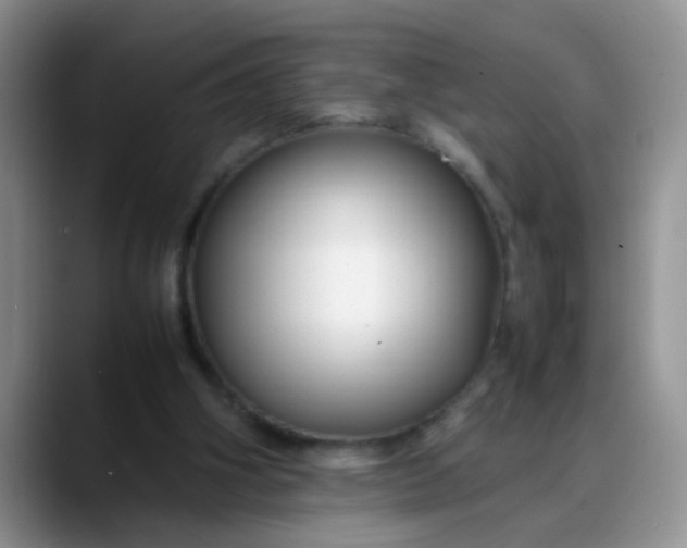 X0000088170106200705291940