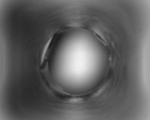 X0000088170109200705291940