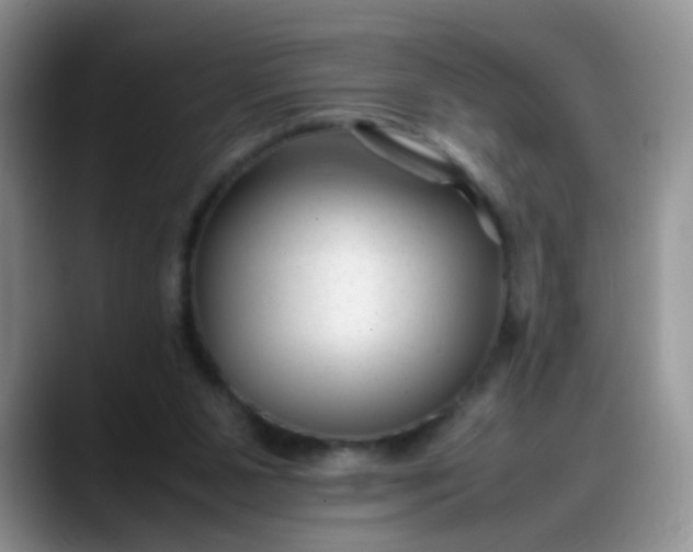 X0000088170111200705291940