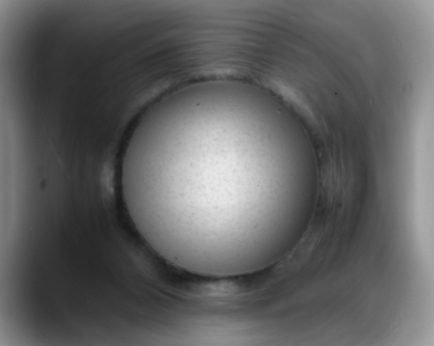 X0000088170112200705291940