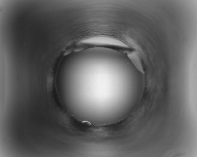 X0000088170113200705291940