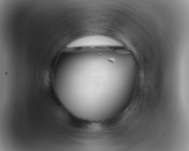 X0000088170114200705291940