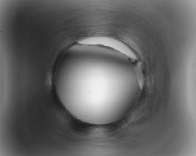 X0000088170115200705291940