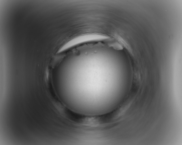 X0000088170117200705291939